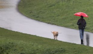 Pogoda. Kolejna porcja opadów deszczu na wschodzie. Zachód musi poczekać na deszcz