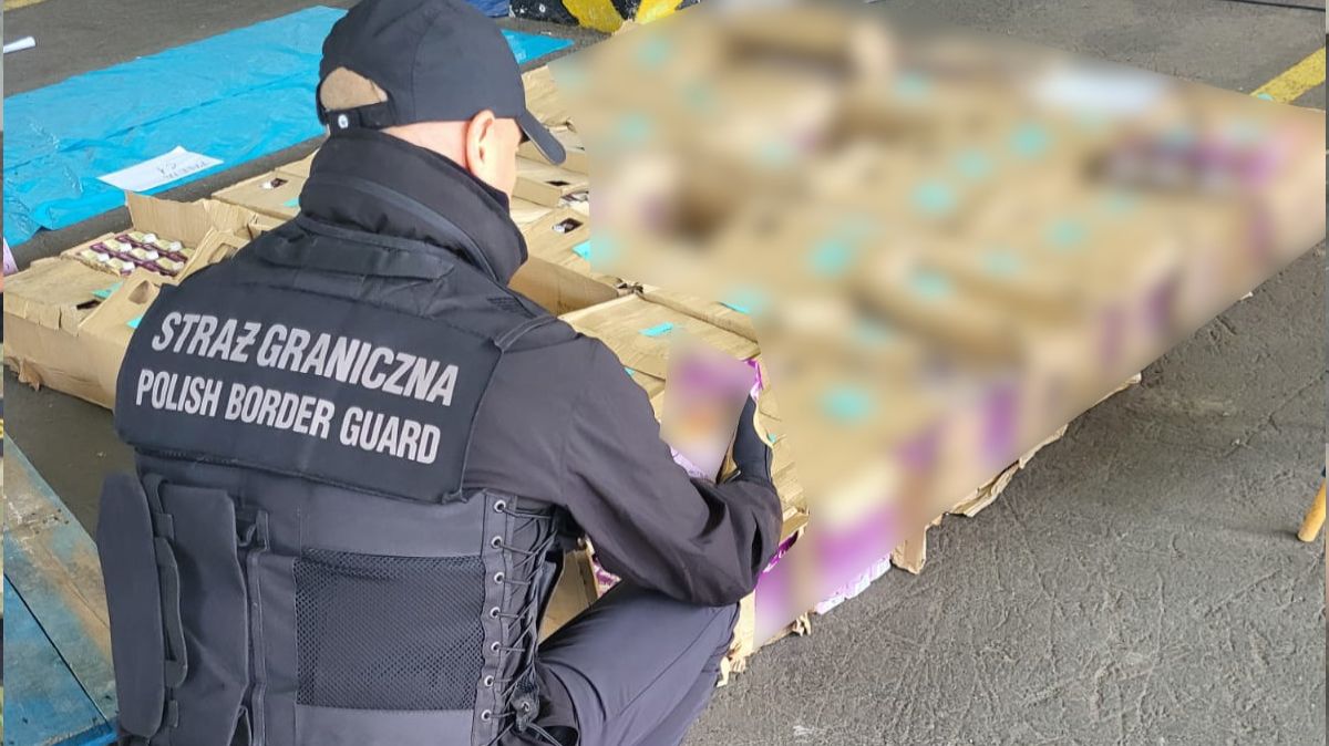 Służby przechwyciły kokainę wartą miliony