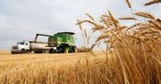 Zbiory zbóż i innych roślin. Podsumowanie roku i prognozy