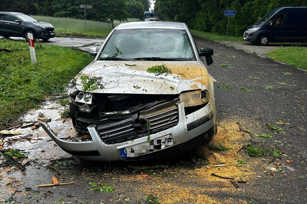 Drzewo przewróciło się na jadący samochód