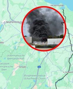Pożar hali pod Szczecinem. Sytuacja została opanowana