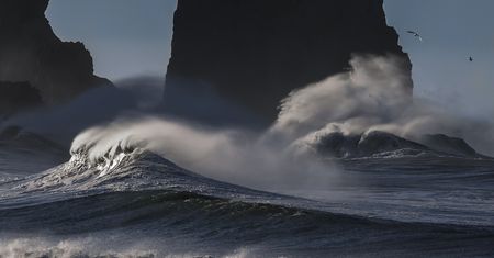Wirus na dnie oceanu. Pierwsze takie odkrycie