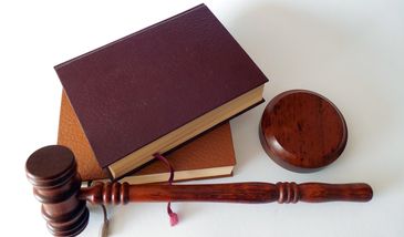 Wielkopolska. Postanowili zabić "jakieś zwierzę". Usłyszeli wyrok