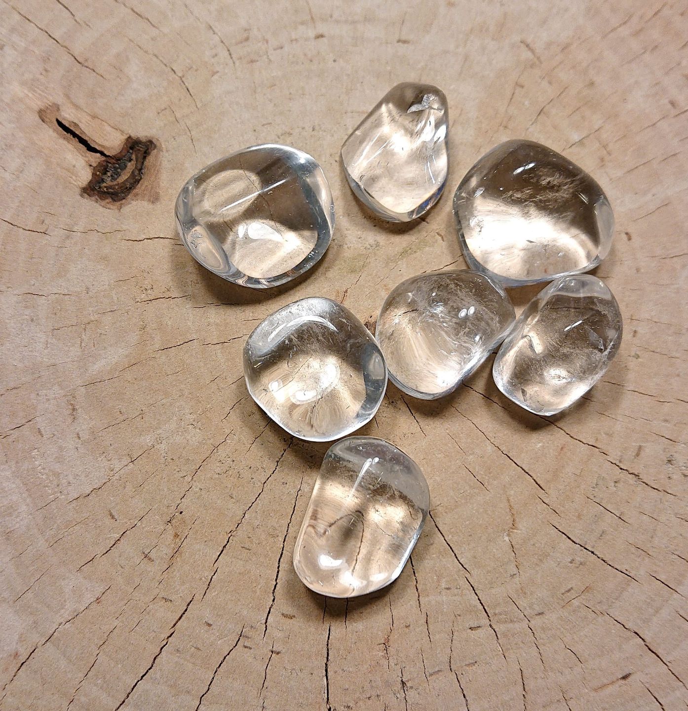 W galeriach można kupić przepiękne okazy