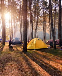 Wakacje pod namiotem. Ile kosztuje urlop na campingu?