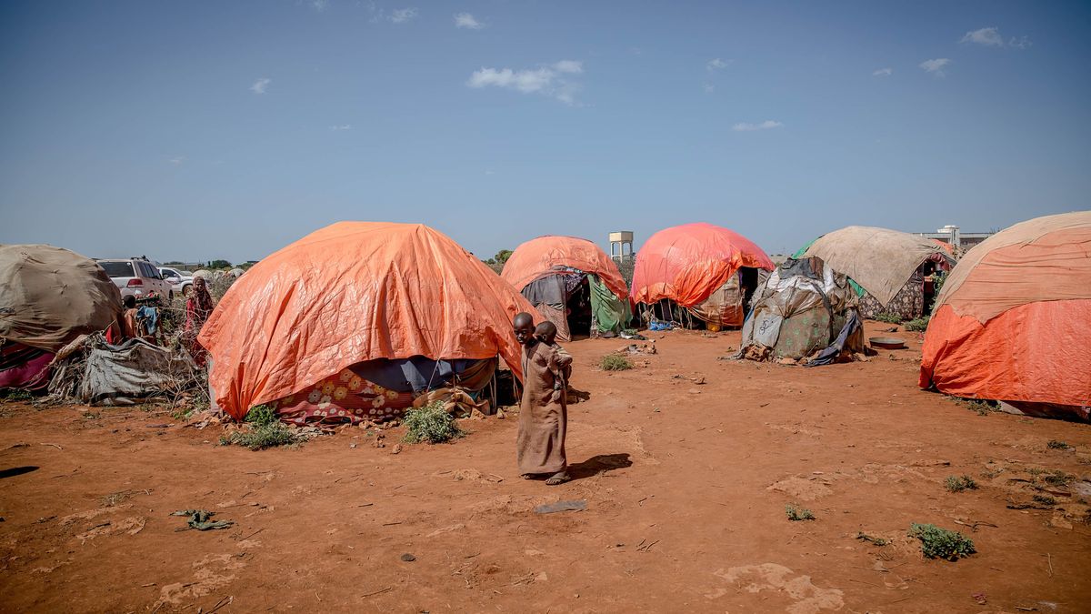 Drought and Famine in Somalia
MOGADISHU, SOMALIA - 2022/12/18: Tents seen at a camp for displaced people in Baidoa. The Horn of African country is suffering from its worst drought in decades, with millions of Somalis in need of food, aid and humanitarian assistance. (Photo by Sally Hayden/SOPA Images/LightRocket via Getty Images)
SOPA Images
baidoa, camp, disaster, hunger crisis, tents