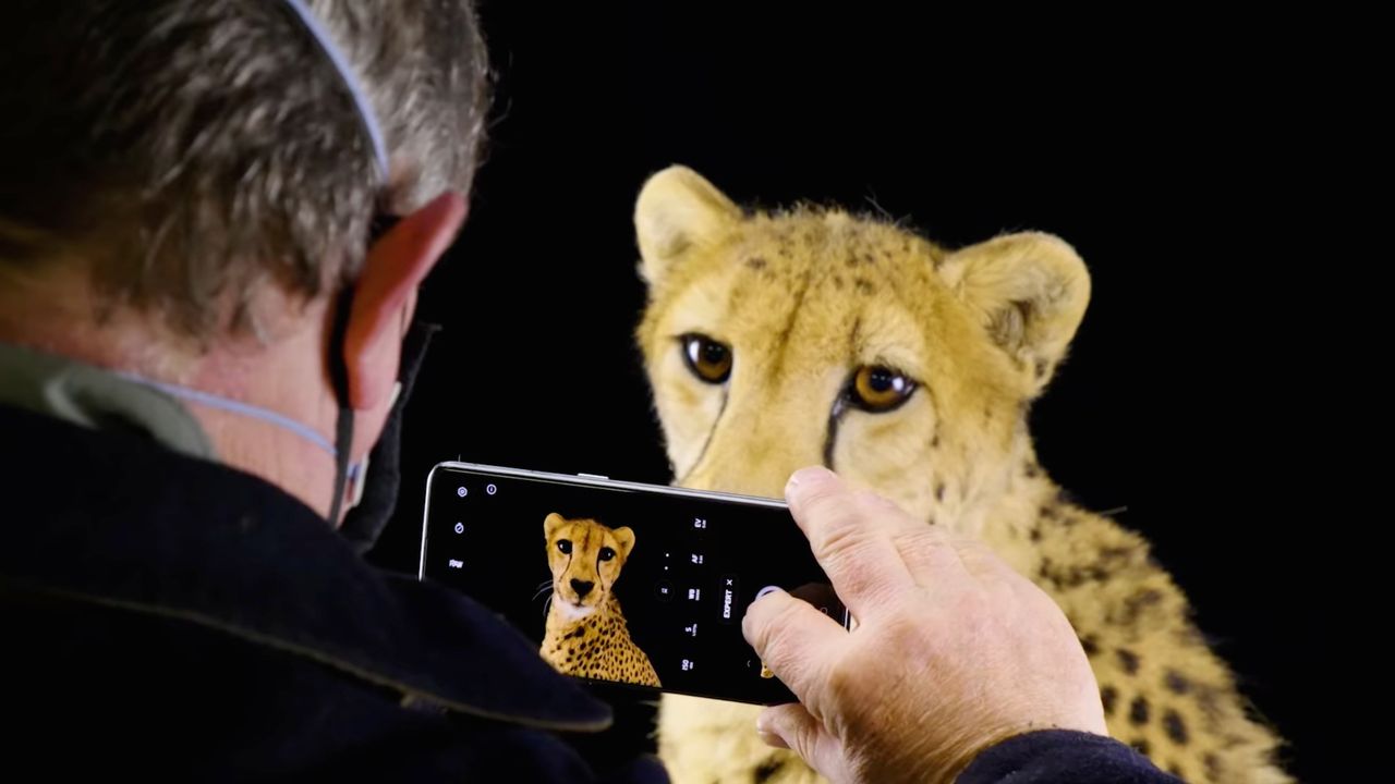 National Geographic i OPPO połączyły siły. Powstała przepiękna seria filmów o zagrożonych gatunkach