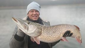 Zdjęcie obiegło sieć. Rekord Polski wyrównany