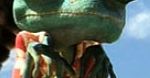 Dwie wersje ''Rango'' w polskich kinach: dubbing i napisy