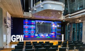 Dino i CCC wyraźnie tracą na giełdzie. Dwaj polscy giganci wcześniej pokazali wyniki