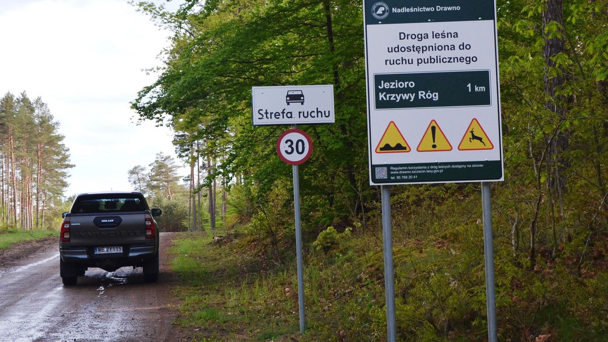 Droga leśna musi być stosowanie oznakowana w jasny i czytelny sposób, by mieć pewność, że można na nią wjechać.