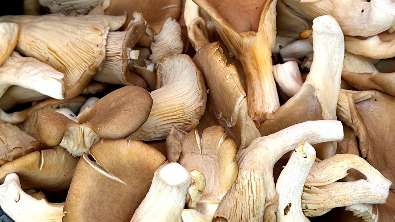 Genialnie zbijają ciśnienie i cholesterol. Naukowcy potwierdzają