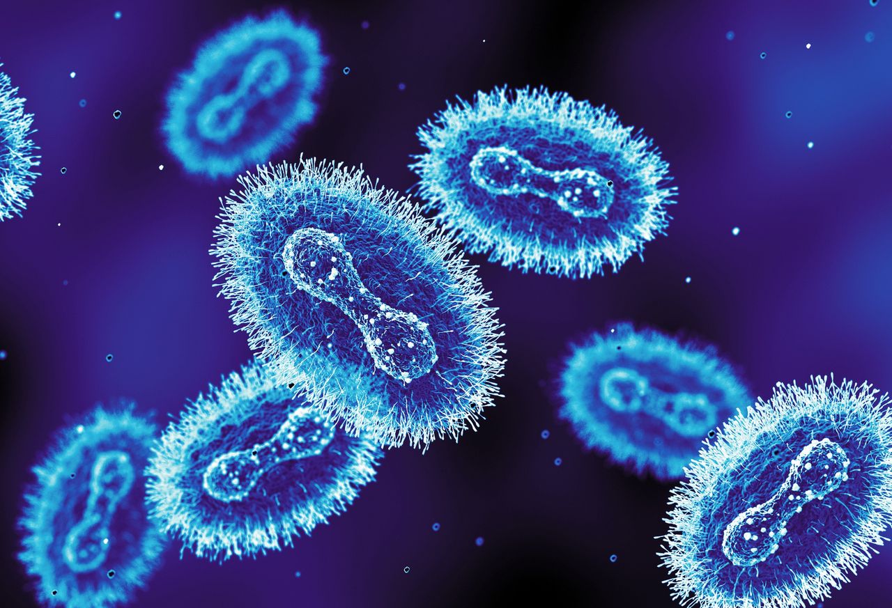 Brytyjczycy potwierdzają. Jest nowy wariant wirusa Mpox