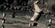 Zombie kowboje, czyli nadciąga horda dodatków do Red Dead Redeption