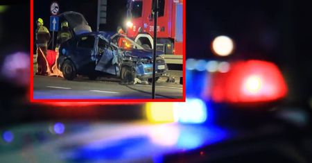 Tragedia pod Warszawą. Zginął, bo wybiegły psy