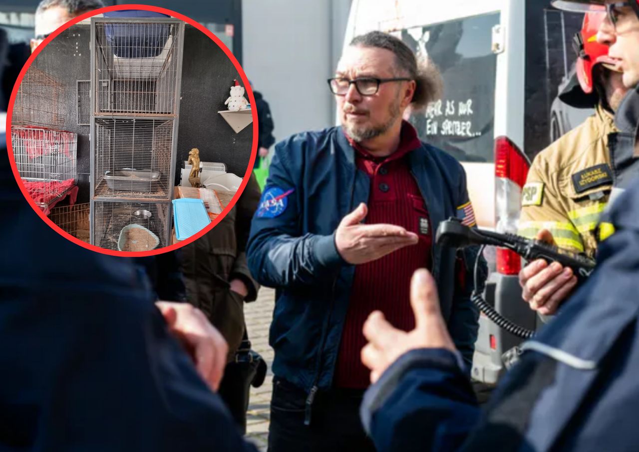 Makabryczne odkrycie w Toruniu. "Poutykane w różne miejsca"