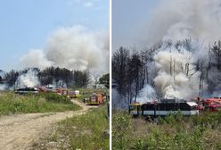 "Ofiary są potwierdzane". Katastrofa samolotu w Korei Południowej