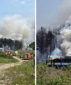 "Ofiary są potwierdzane". Katastrofa samolotu w Korei Południowej