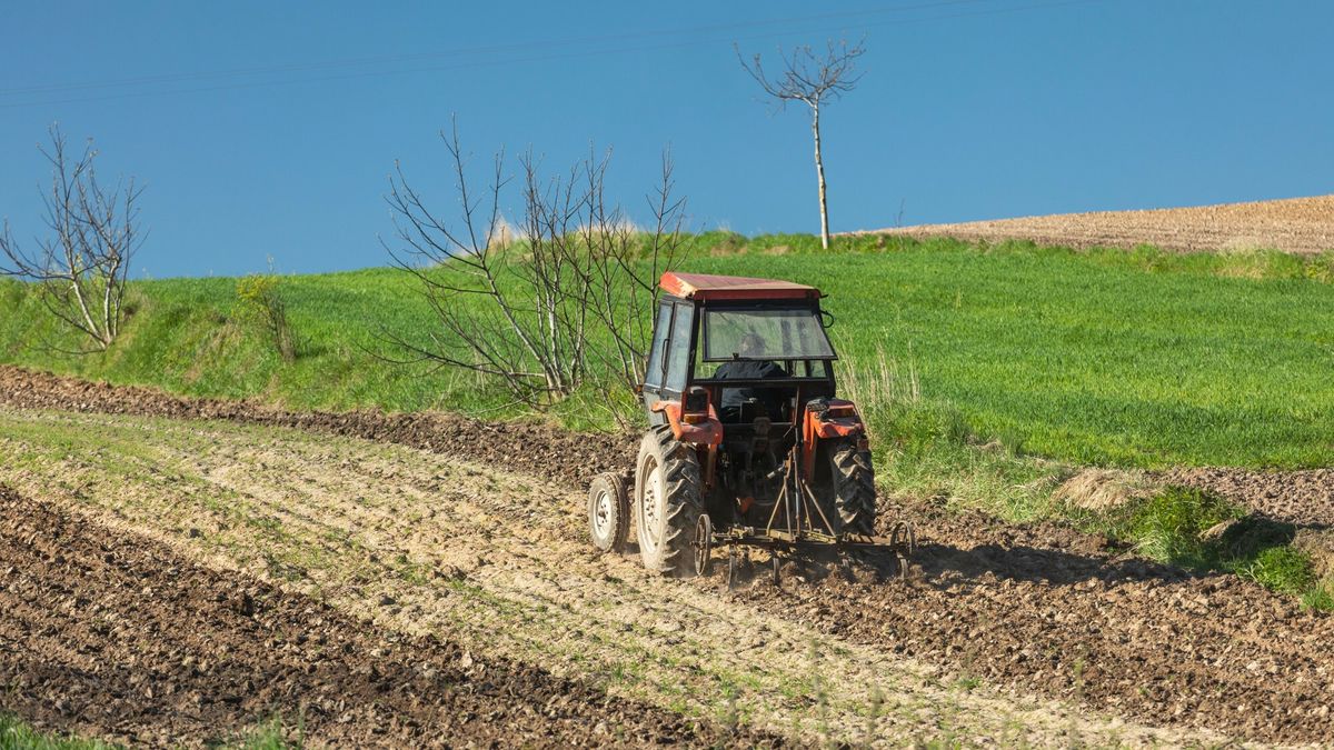 Dopłaty bezpośrednie wniosek - do kiedy złożyć w 2025 roku?