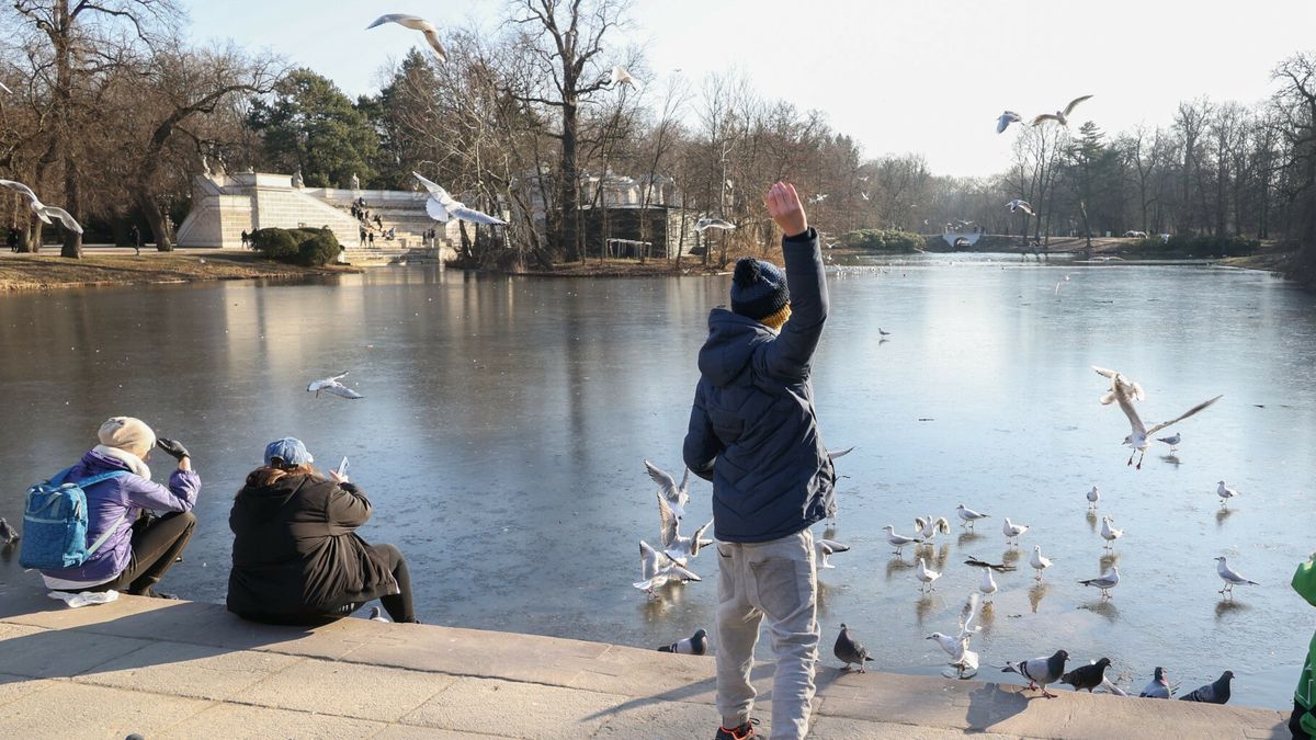 Wiosenna pogoda w ?azienkach Kr�lewskichFot. Piotr Molecki/East News, Warszawa, 14.02.2022. Wiosenne spacery w Lazienkach Krollewskich.Piotr Molecki