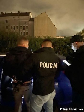 Kradli auta w Polsce i Niemczech. Policja zatrzymała trzech mężczyzn, jeden wpadł ze specjalnym "Game Boyem"