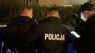 Kradli auta w Polsce i Niemczech. Policja zatrzymała trzech mężczyzn, jeden wpadł ze specjalnym "Game Boyem"
