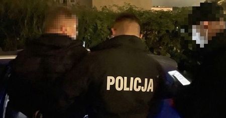 Kradli auta w Polsce i Niemczech. Policja zatrzymała trzech mężczyzn, jeden wpadł ze specjalnym "Game Boyem"