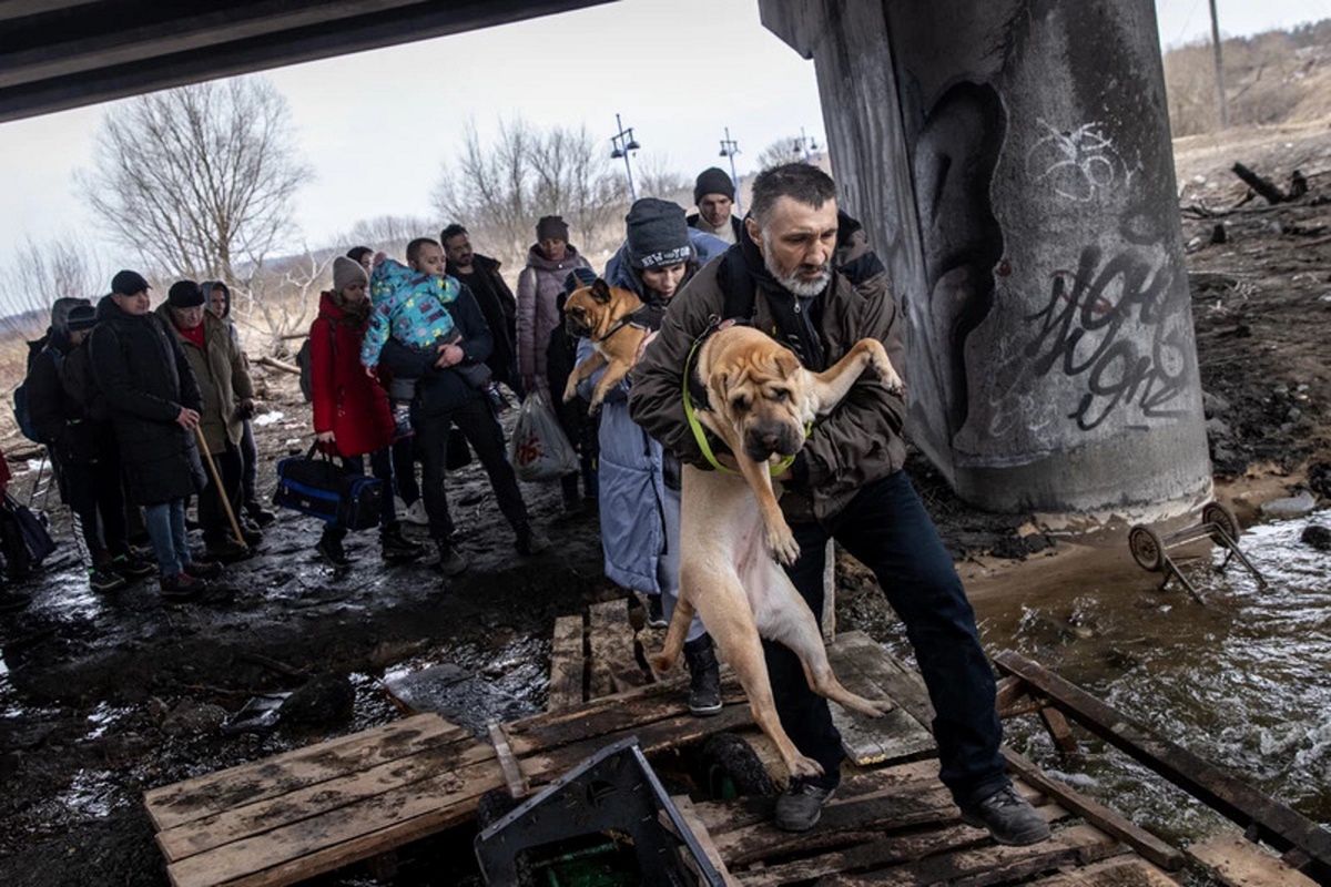 Ukrainka została bohaterką. Ratuje niepełnosprawne psy od wojny