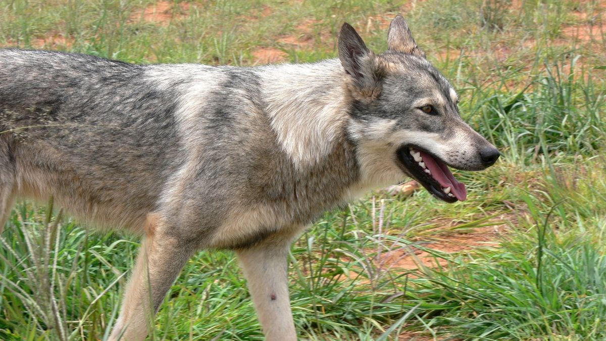 Zdjęcie ilustracyjne 