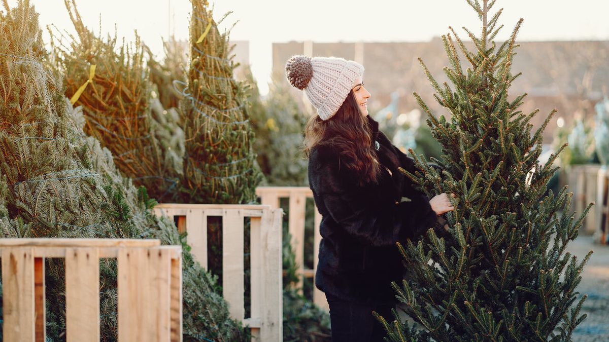 Nowa oferta sklepów Castorama