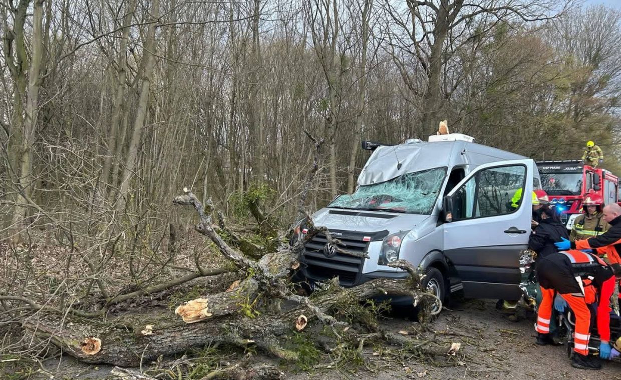 Pogoda robi się niebezpieczna. Konar spadł na przejeżdżające auto