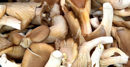 Genialnie zbijają ciśnienie i cholesterol. Naukowcy potwierdzają