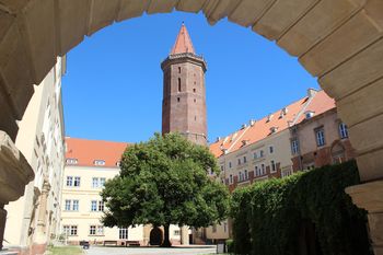 Legnica: Tłumy na pierwszym seansie "Kina na Zamku"