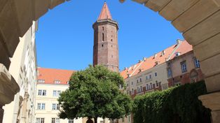 Legnica: Tłumy na pierwszym seansie "Kina na Zamku"