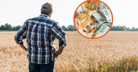 Emerytury rolników w Polsce i Niemczech. Różnice po 30 latach pracy