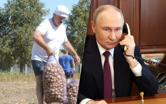 Ziemniaczana klęska w Rosji. Ceny wzrosły o 166 proc. Sam Putin bije na alarm