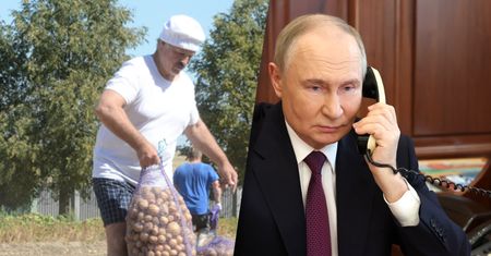 Ziemniaczana klęska w Rosji. Ceny wzrosły o 166 proc. Sam Putin bije na alarm
