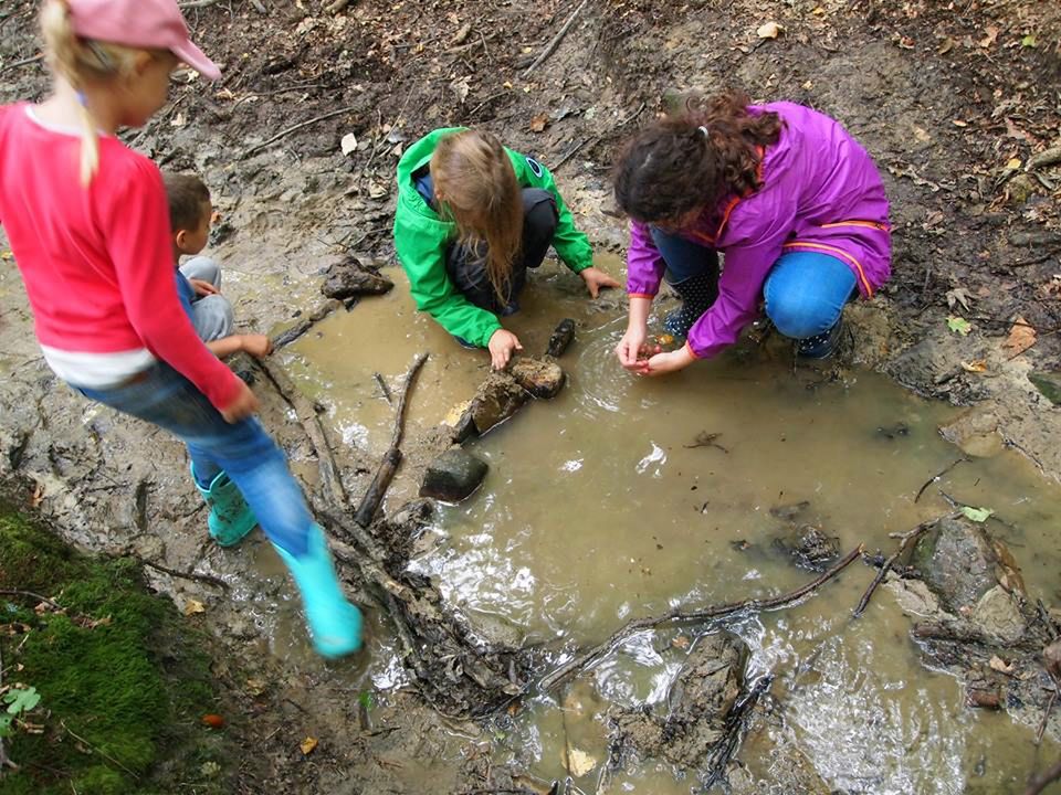 Przedszkole leśne Dzika Osada