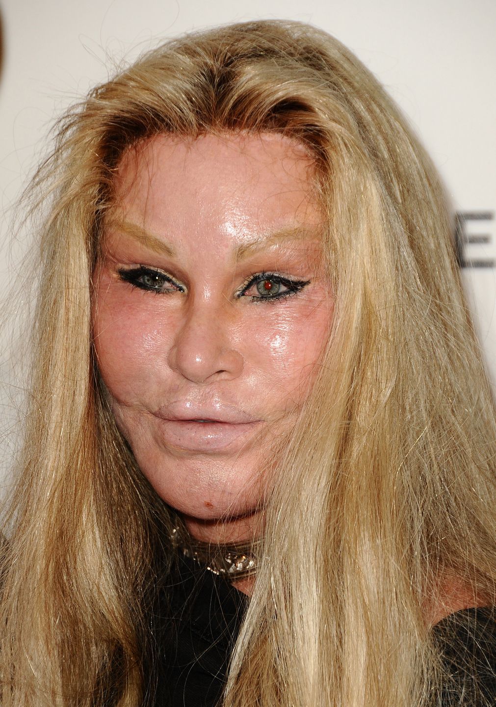 Jocelyn Wildenstein
