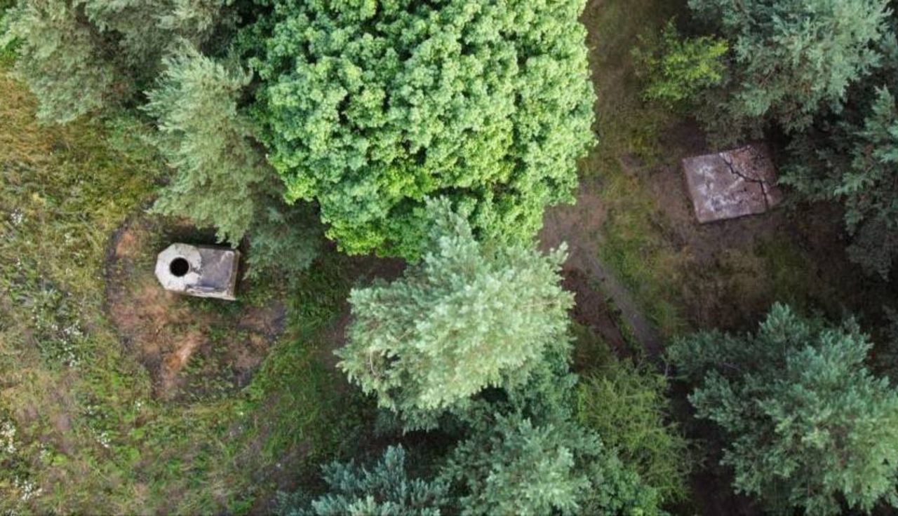 Takie zdjęcie w książce. Od razu ruszył do lasu. "Natrafiłem na coś"