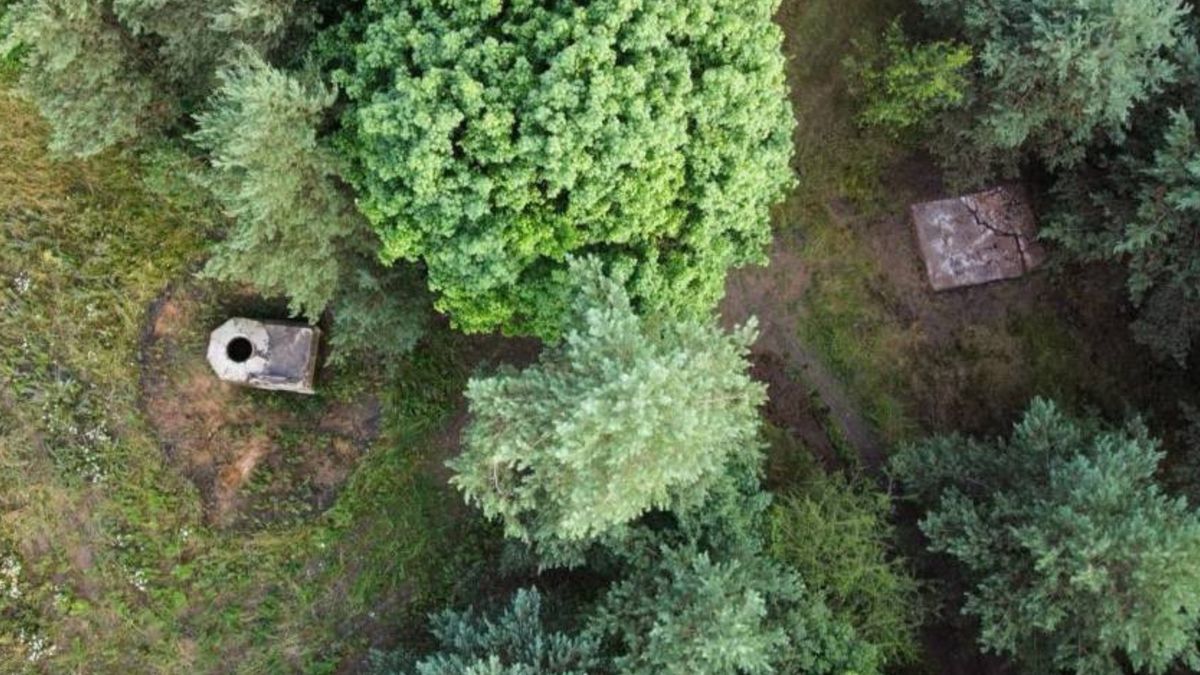 Niezwykłe odkrycie w Wielkopolsce.