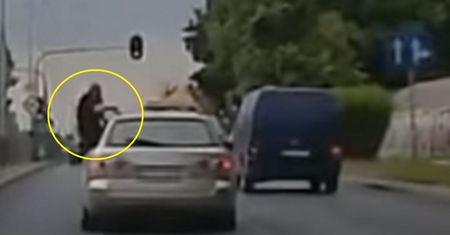 Sceny niczym z afrykańskiego safari. Nagranie ze Zgierza podbija sieć