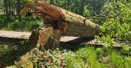 Utrudnienia dla turystów. Park narodowy apeluje