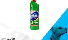 Grandes Kochonos wygrywa przetarg marki Domestos