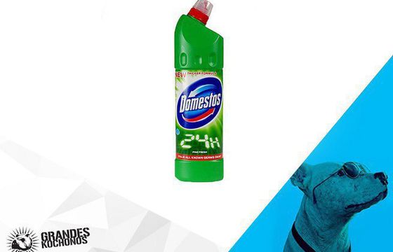 Grandes Kochonos wygrywa przetarg marki Domestos