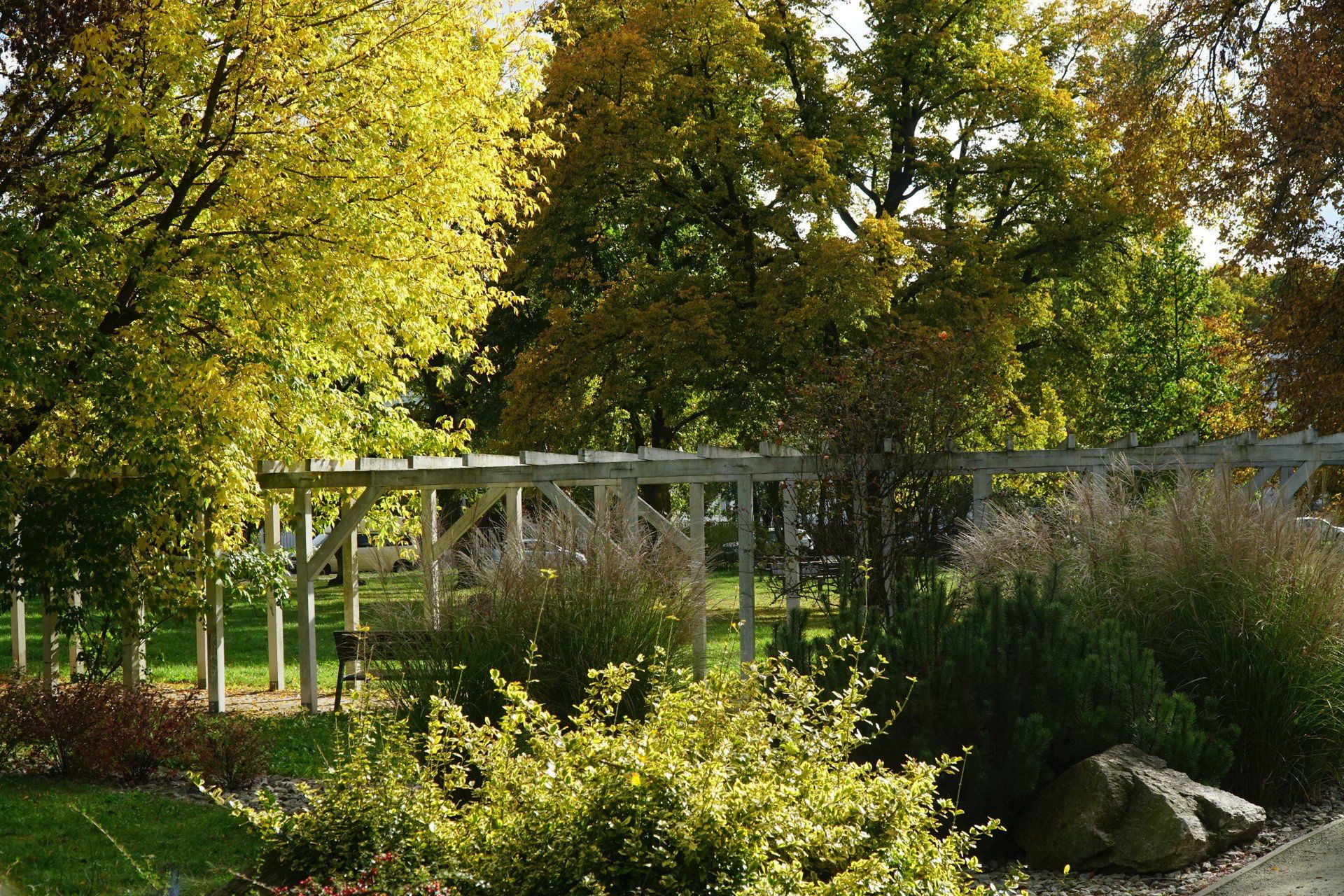 Park Heweliusza