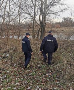 Znaleźli zakopane ciało. Nieoficjalnie: poszukują kolejnych