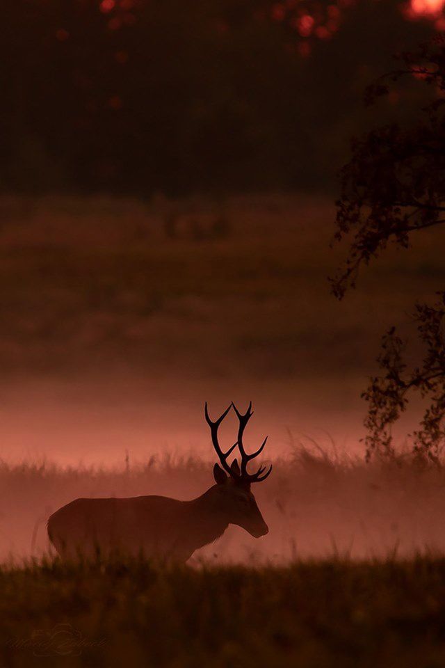 Polska złota jesień na zdjęciach czytelników Fotoblogii 3
