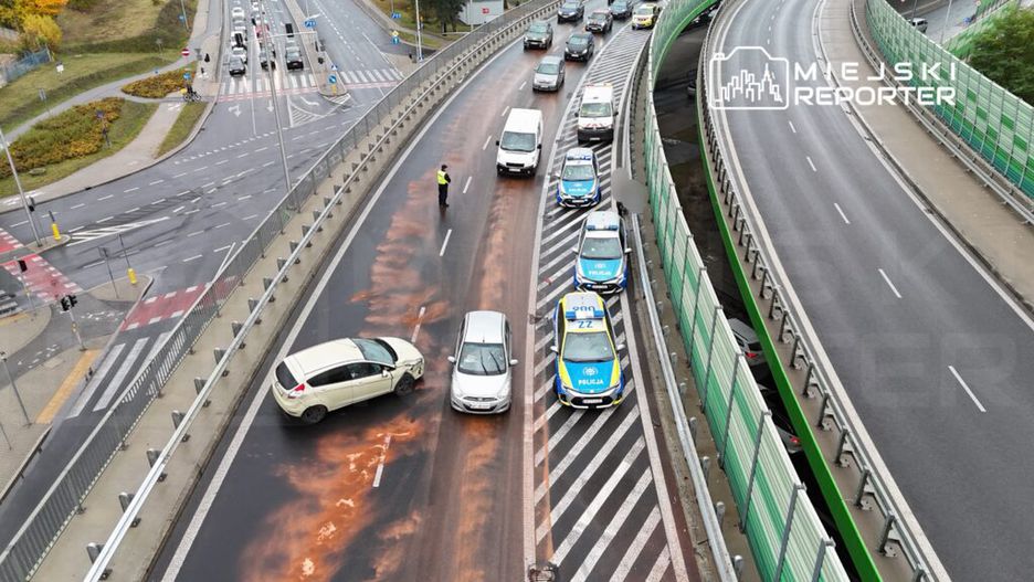 Na drodze widać uszkodzony biały samochód, obok którego stoją policyjne radiowozy i policjant kierujący ruchem.