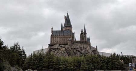 Wrocław. Harry Potter wpakował ich w kłopoty. Grozi im 5 lat więzienia